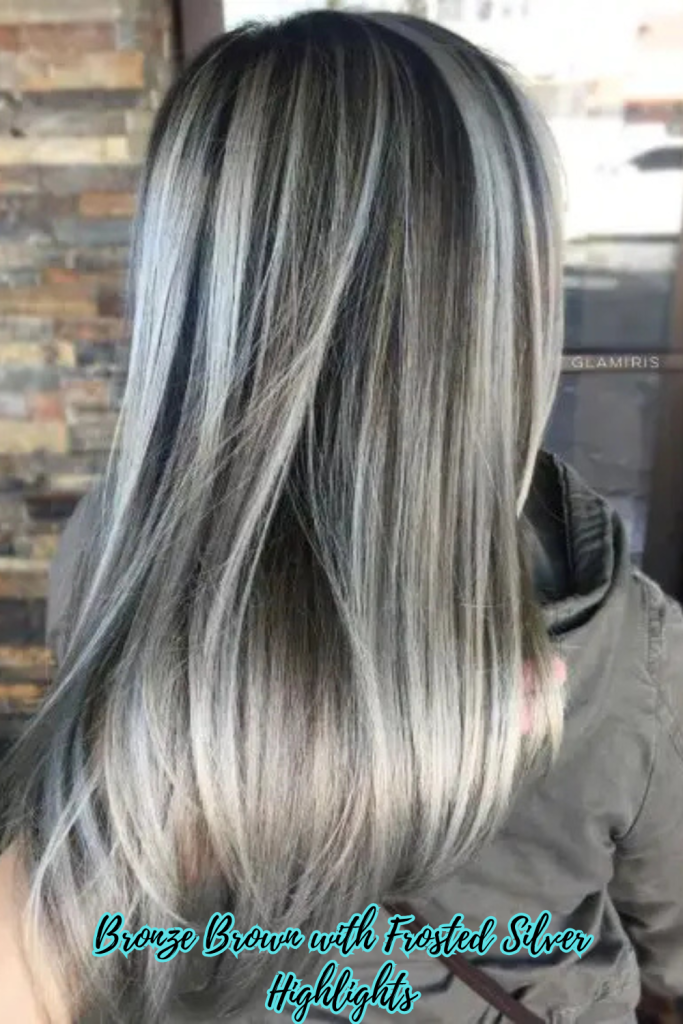 Bronze Brown with Frosted Silver Highlights