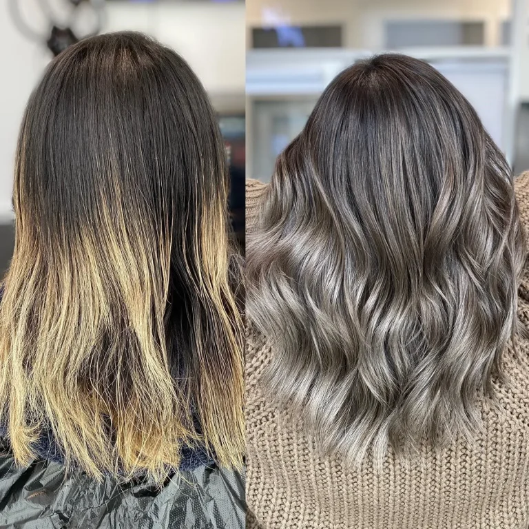 Brown Hair with Silver Highlights