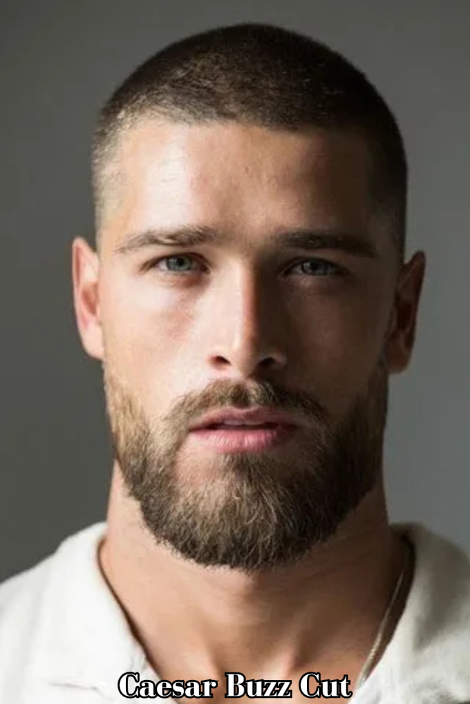 Caesar Buzz Cut