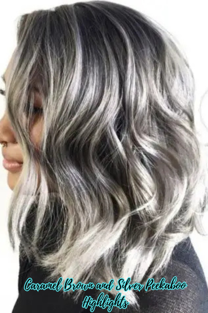 Caramel Brown and Silver Peekaboo Highlights