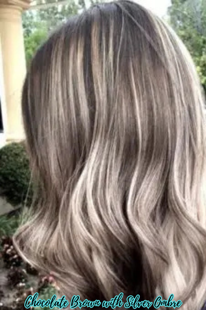 Chocolate Brown with Silver Ombre