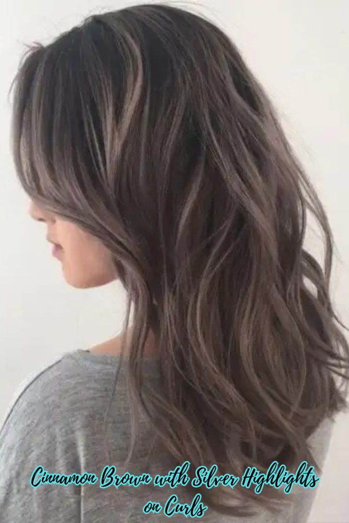 Cinnamon Brown with Silver Highlights on Curls
