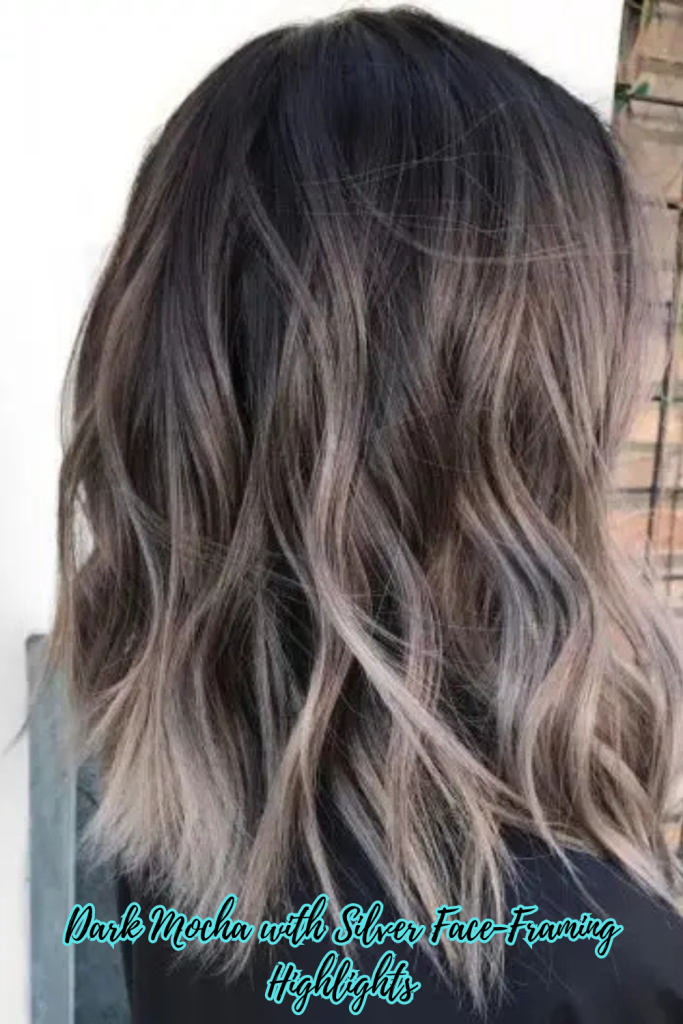 Dark Mocha with Silver Face-Framing Highlights