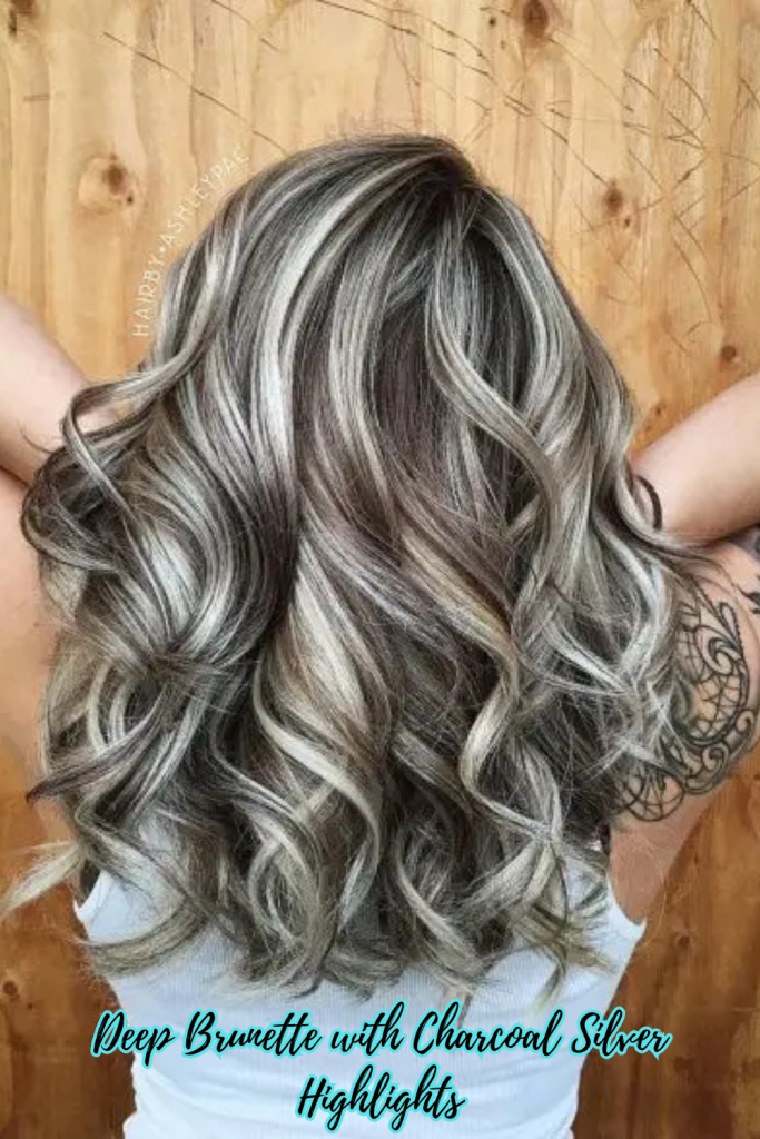 Deep Brunette with Charcoal Silver Highlights
