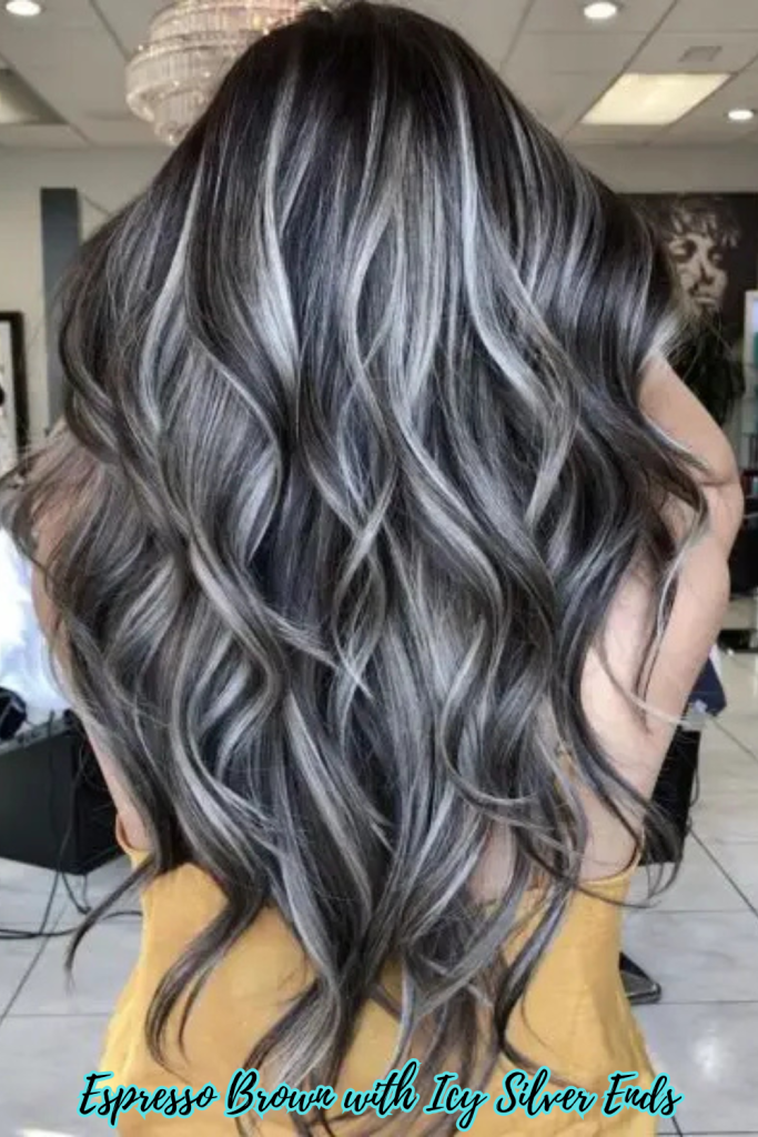 Espresso Brown with Icy Silver Ends