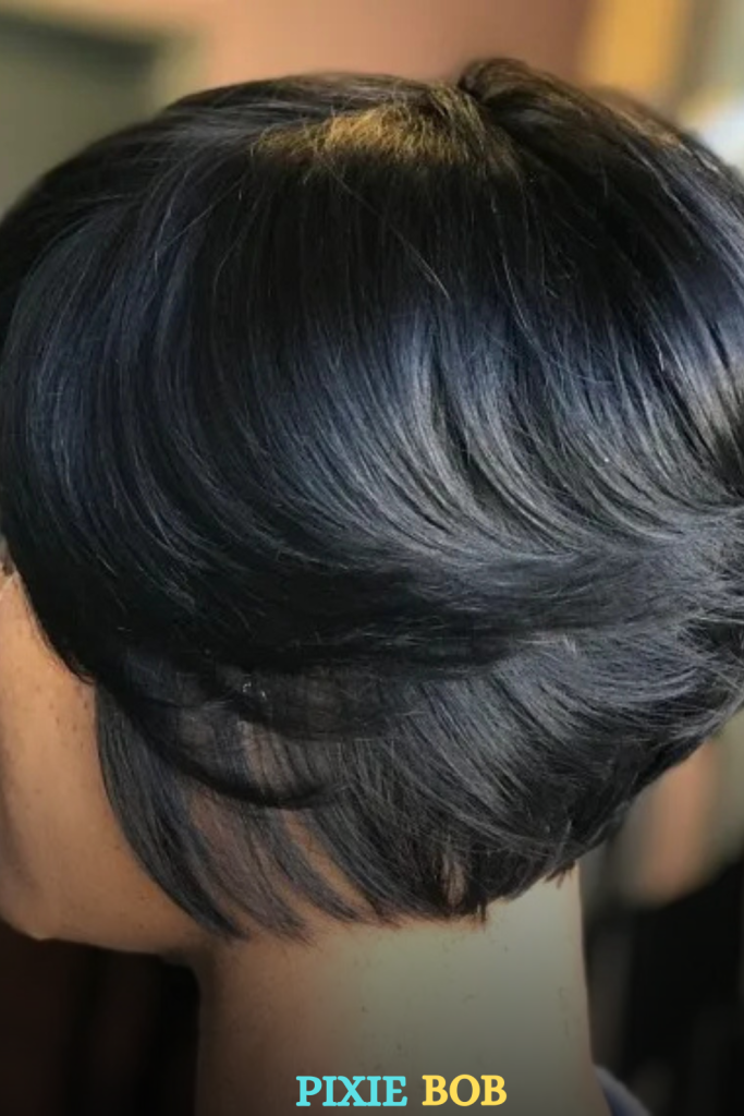 Pixie Bob
