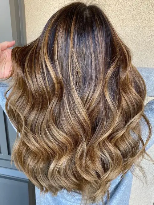 Sunlit Caramel Highlights