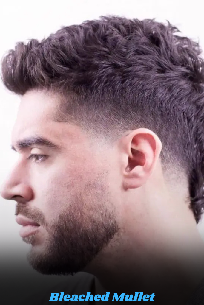 Bleached Mullet