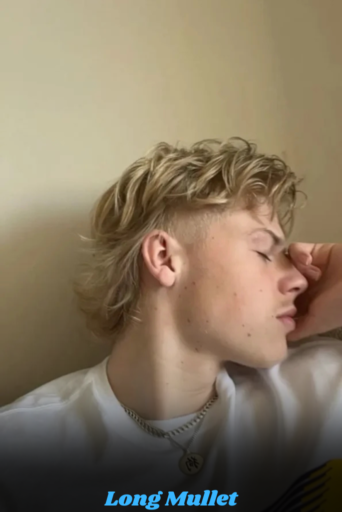 Long Mullet