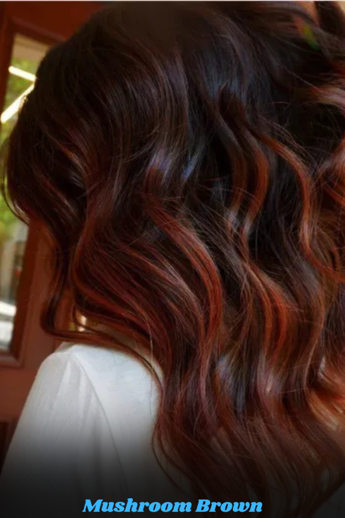 Mushroom Brown