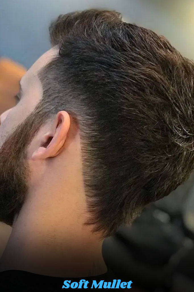 Soft Mullet