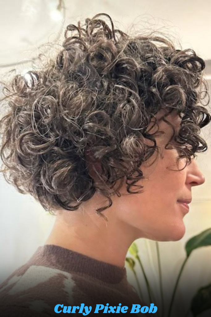 Curly Pixie Bob