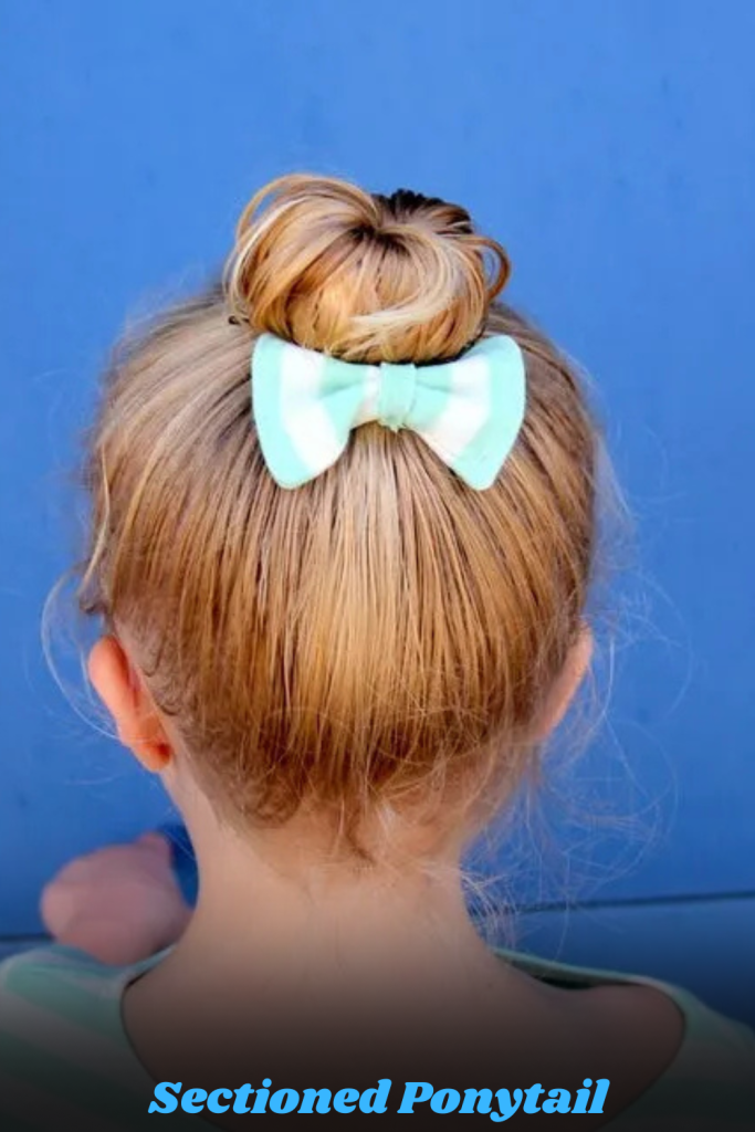 Sectioned Ponytail