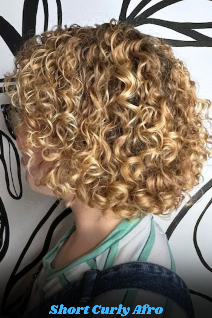 Short Curly Afro